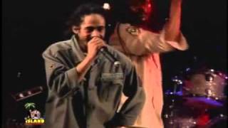 Damian Marley  War  No More Trouble Live [upl. by Enyak]