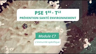 PSE module C7 bis  Limmunité spécifique [upl. by Roye]