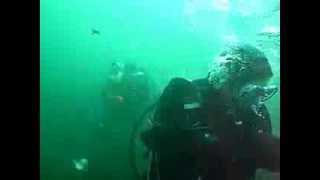 Hackney Sub aqua members diving with seals in the Farne Islands [upl. by Remark861]