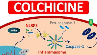 Colchicine Tablets for Gout  Mechanism precautions amp side efects [upl. by Terrence]