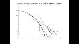 Tariffs  General Equilibrium Analysis for Small Country Dr M R Singariya [upl. by Demakis254]