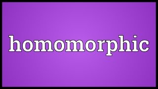 Homomorphic Meaning [upl. by Napra]