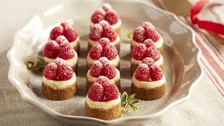 mini cheesecakes recipe  How to Make Mini Cheesecakes  Cake Recipes [upl. by Hentrich]