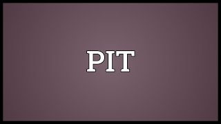 PIT Meaning [upl. by Gard]