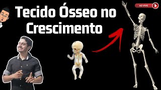 Tecido Ósseo no Crescimento  Aula ao Vivo 25 [upl. by Suckram]