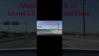 Mustang GT50 vs Lexus LS PowerChipsTune [upl. by Hirst]