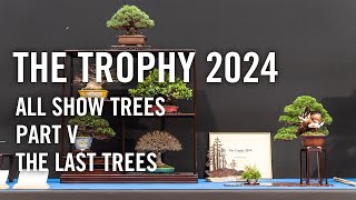 Trophy 2024 Belgium all show trees part 5 the final part [upl. by Eolanda181]