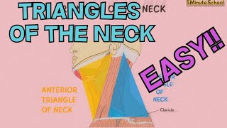 TRIANGLES OF THE NECK ANATOMY MADE EASY  EXPLAINED in 3 MINUTES CERVICAL TRIANGLES [upl. by Sigismondo142]