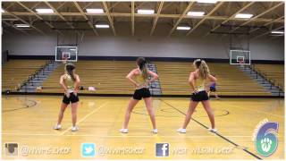 WWMS Cheer Youth Dance 2013 [upl. by Drescher120]