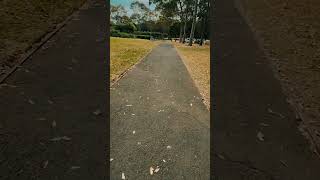 Parramatta Park Edit 2 4K [upl. by Aicyla]