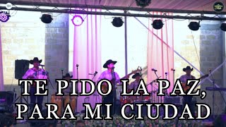 TE PIDO LA PAZ  MUSICA CRISTIANA NORTEÑA [upl. by Missi942]