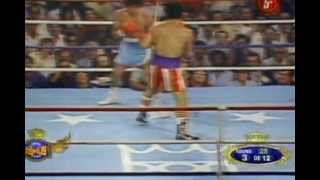 SALVADOR SANCHEZ VS WILFREDO GOMEZ PELEA COMPLETA TONY ANDERE COMPLETE FIGHT [upl. by Araihc]