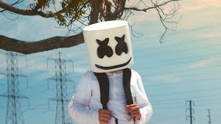 Marshmello  Alone Official Music Video [upl. by Nawyt805]