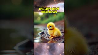 El patito feo 🐥 shortsviral mismascotas babyanimal paramascotas pato patitofeo babypet [upl. by Bolten]