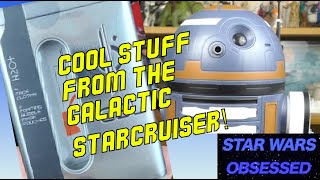 The Galactic Starcruiser Website and Goodies starwars galacticstarcruiser [upl. by Mirella851]