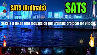 The Shocking SATS Ordinals Coin SATS Secrets  Cryptocurrency New Crypto Token Facts Trading Guide [upl. by Nylauqcaj683]