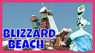 Visiting Disneys Blizzard Beach Water Park Before It Closes [upl. by Anelas]