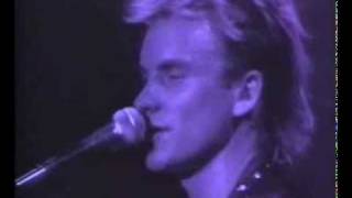 Sting amp Police  King Of Pain Live [upl. by Cordalia184]