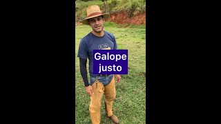 Galope justo [upl. by Aihsram155]