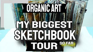 Organic Textiles Sketchbook Sketchbook Tour  Biggest Yet [upl. by Millburn]