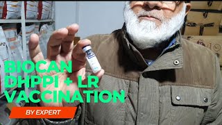 Biocan DHPPi  Biocan LR  Bestest Vaccination  for Every kind of Dog Breed [upl. by Galang662]