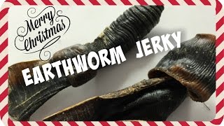 Day 5 Earthworm Jerky  5 Days of Bug Eating [upl. by Eniamurt]