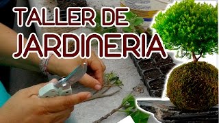 Taller de Jardineria [upl. by Iat]