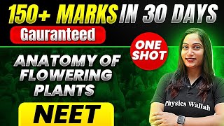 150 Marks Guaranteed ANATOMY OF FLOWERING PLANTS  Quick Revision 1Shot  Botany for NEET [upl. by Doty634]