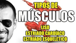 Tipos de Músculos Liso Estriado Cardíaco e Esquelético  Sistema Muscular  VideoAula 081 [upl. by Tiffanie622]