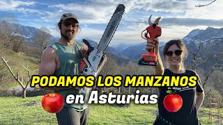 06 PODAMOS MANZANOS ABANDONADOS en la FINCA de ASTURIAS  Al Son de mi Furgón [upl. by Ebocaj562]