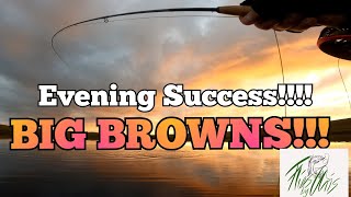 Night Time FLY FISHING for BROWN TROUT 23rd July flyfishing fishing browntrout trout [upl. by Yuji409]