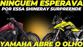 Honda e Yamaha não esperavam por essa Shineray APRONTOU LEGAL [upl. by Eimarrej]