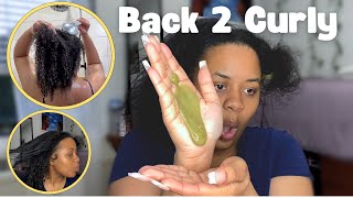 Reverting My Hair Back To Curly  Full Wash Day Routine  Products [upl. by Shayne]