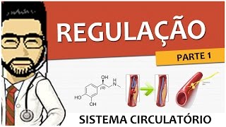 Sistema Circulatório 06  Regulação  Parte 1 Vídeo Aula [upl. by Elynad]