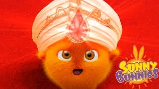 Videos For Kids  Sunny Bunnies THE SUNNY BUNNIES FORTUNE TELLER  Funny Videos For Kids [upl. by Kawai]