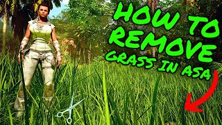 How To Get Rid of GRASS In Ark Survival Ascended ASA Tips and Tricks [upl. by Wyne795]