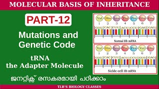 Molecular Basis of InheritancePart 12Mutations and Genetic codetRNA the adapter moleculeClass 12 [upl. by Lois714]