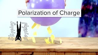 Polarization of Charge [upl. by Siana502]