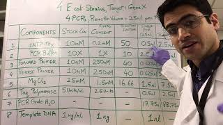 How To PCR Calculations [upl. by Marek300]