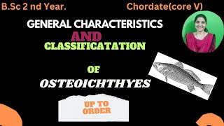 Osteichthyes bsc 2nd yearBony fish General characteristics and classification up to orderpises [upl. by Ydnis]