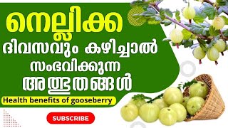 നെല്ലിക്കയുടെ ഔഷധഗുണങ്ങൾ  Health benefits of gooseberry in malayalam amla healthtips beautytips [upl. by Dahsraf]