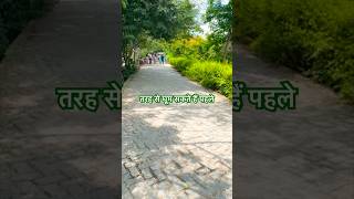 Sajjangarh Biological Park 🐅Ghumne ka MUST tarika shorts india travel rajasthan youtubeshorts [upl. by Enaled]