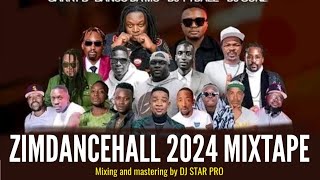 Zimdancehall 2024 Mixtape Volume 3 mix by DJ STAR PRO Official music visualizer [upl. by Leen802]