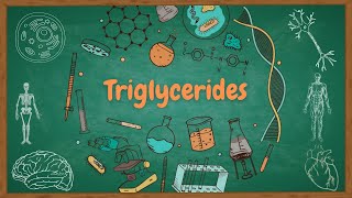 lipids 4 Triglycerides synthesis amp metabolism  ثلاثيات الغليسريد  biochemistry [upl. by Temhem]