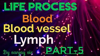 Blood blood vessel and lymph class 10 cbse life process [upl. by Neala]