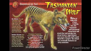 tasmanian tiger sound effects [upl. by Irac]