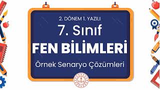 7 Sınıf Fen Bilimleri 2 Dönem 1 Yazılı Örnek Senaryo Çözümleri [upl. by Nerok]