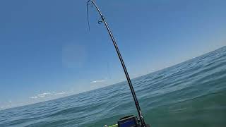 2024 Sea Doo Fish Pro Trophy A few first fish on this rig Montauk NY Fishing [upl. by Neerual]