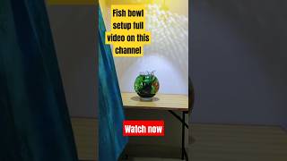 Fish bowl setup full video  fishtank pets fishbowl [upl. by Brande]