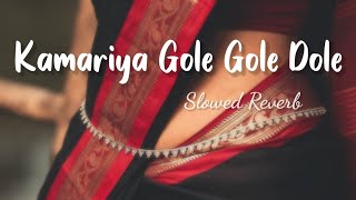 Kamariya Dole slowed reverb   kamriya gole gole dole Raj ji lofi song [upl. by Nimref]